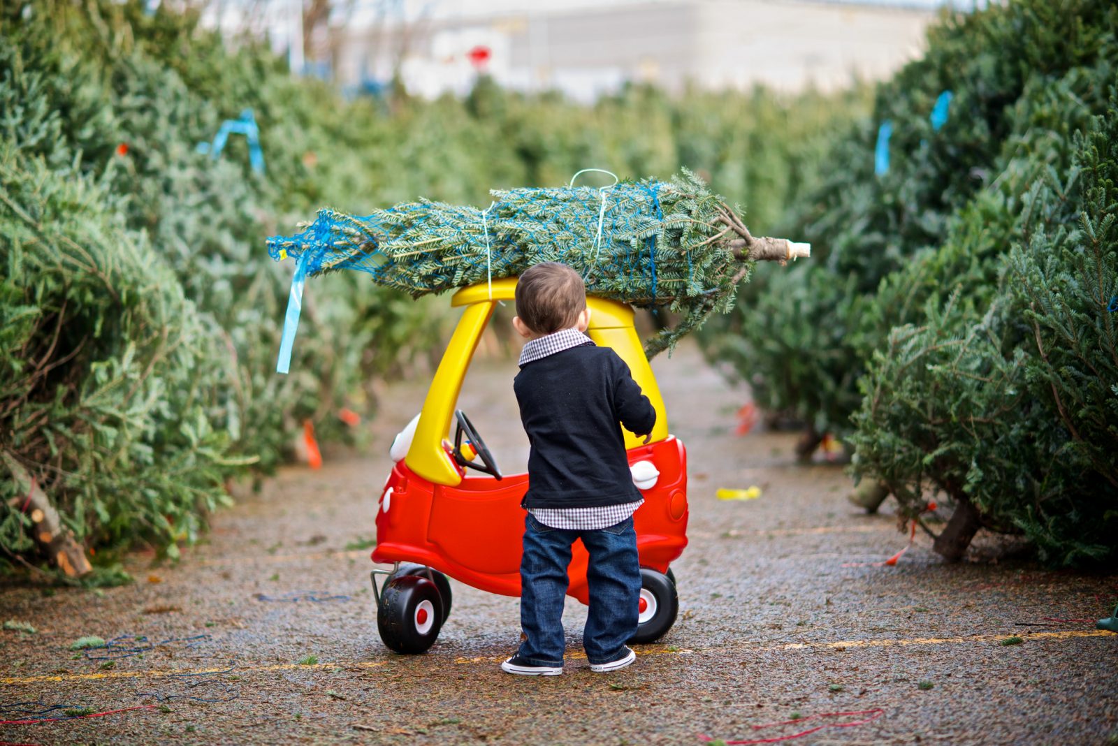 Kid Christmas Tree Car Myornament Holiday Traditions