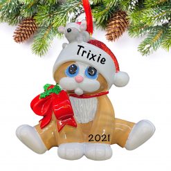 Tan Ornage Cat Santa Hat Personalized Christmas Ornament Gift