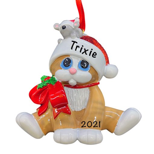 Tan Ornage Cat Santa Hat Personalized Christmas Ornament Gift